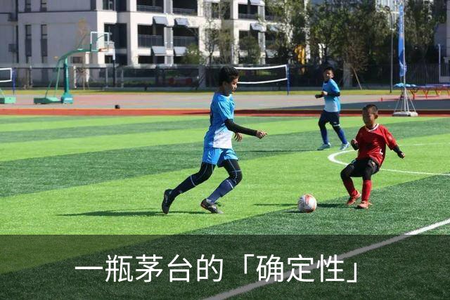 一瓶茅台的「确定性」