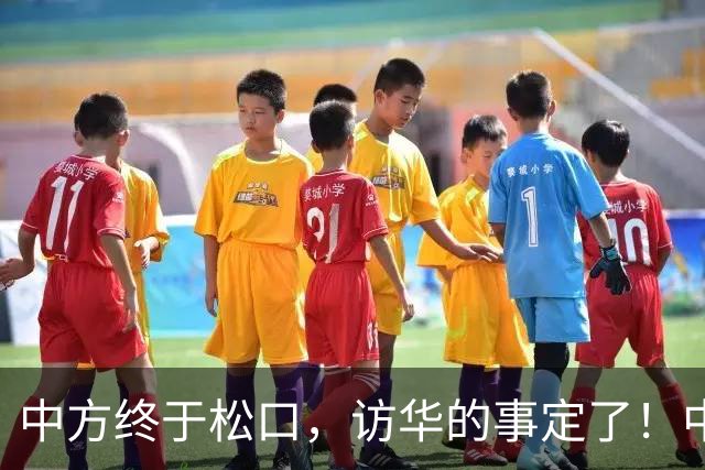 中方终于松口，访华的事定了！中方仁至义尽，高市成了最大输家