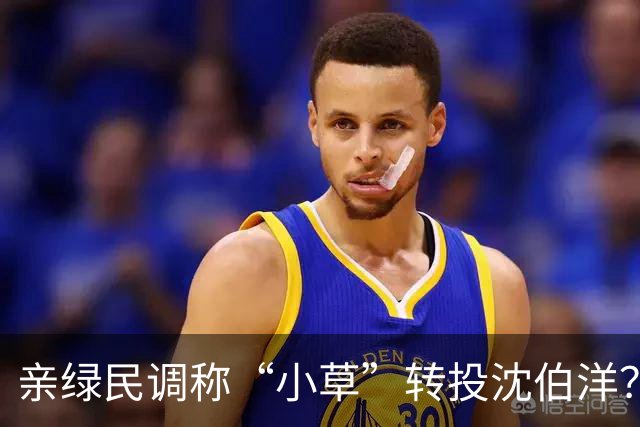 亲绿民调称“小草”转投沈伯洋？黄国昌:曹兴诚出资的没必要分析