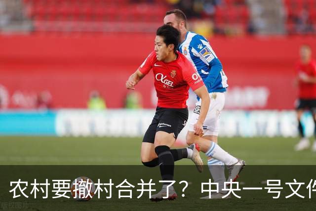 农村要撤村合并了？中央一号文件明确规定，农民必须有发言权