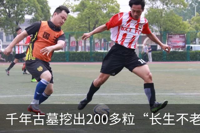 千年古墓挖出200多粒“长生不老仙丹”，化验结果令专家震惊