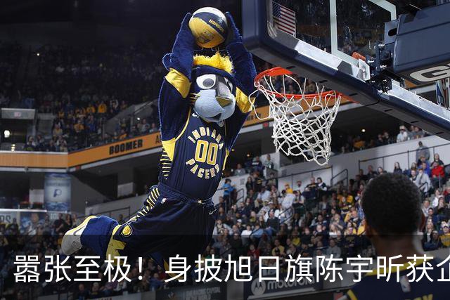 嚣张至极！身披旭日旗陈宇昕获企业公开力挺：一起披！汤家凤痛斥