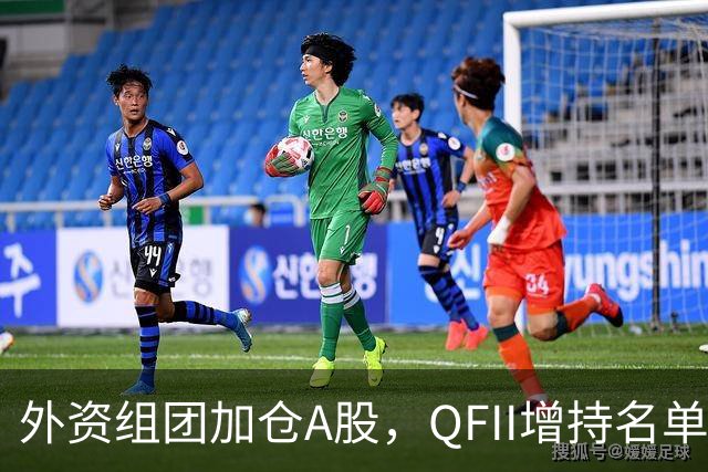 外资组团加仓A股，QFII增持名单曝光