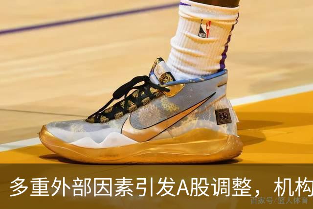 多重外部因素引发A股调整，机构热议：基本面支撑中长期配置价值