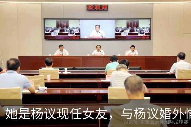 她是杨议现任女友，与杨议婚外情17年有个儿子，曾与正妻同住一屋