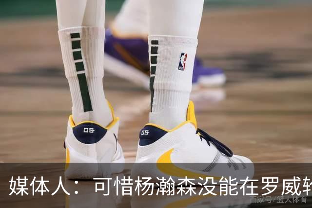 媒体人：可惜杨瀚森没能在罗威轮休时得到机会 这是场血亏的比赛