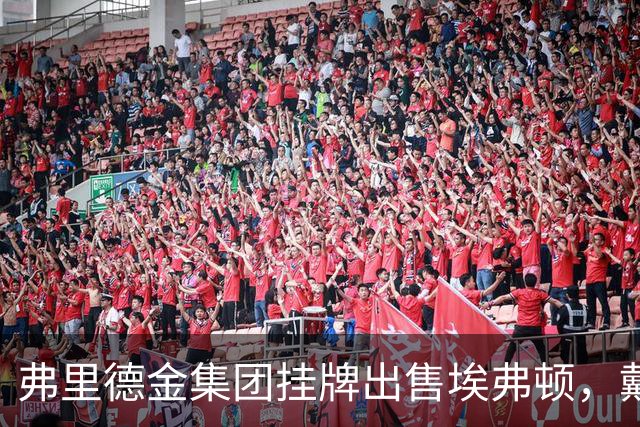 弗里德金集团挂牌出售埃弗顿，戴尔家族入局竞购