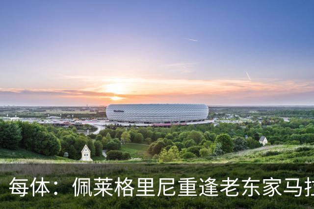 每体：佩莱格里尼重逢老东家马拉加，旧将伊斯科渴望取胜