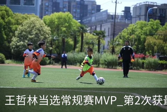 王哲林当选常规赛MVP 第2次获最有价值球员奖