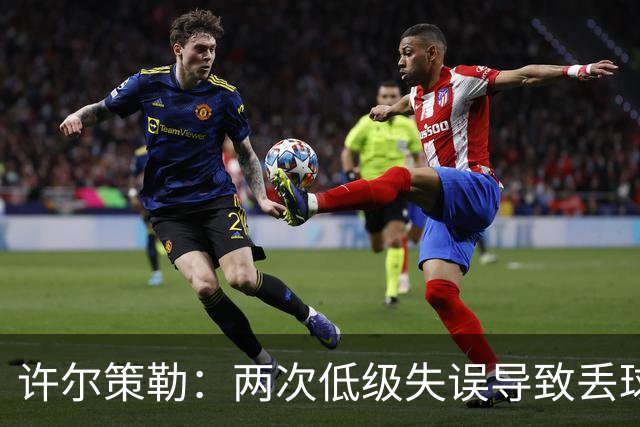 许尔策勒：两次低级失误导致丢球，我们也没能把握住机会