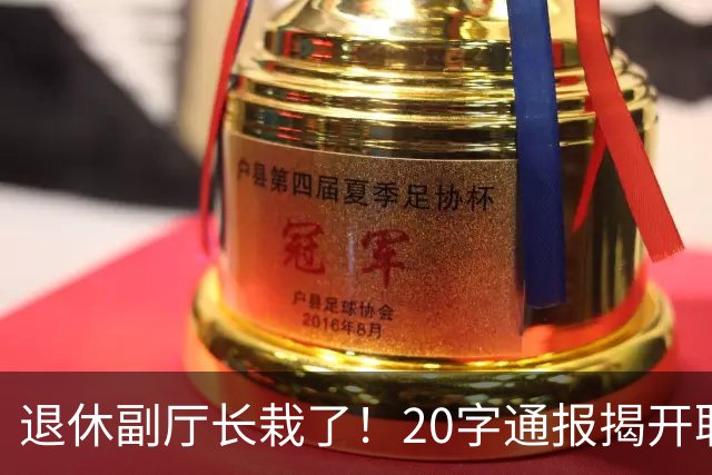 退休副厅长栽了！20字通报揭开职称黑幕，多少教师输在五分钟答辩