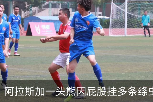 阿拉斯加一头熊因屁股挂多条绦虫，获颁"最佳宿主奖"